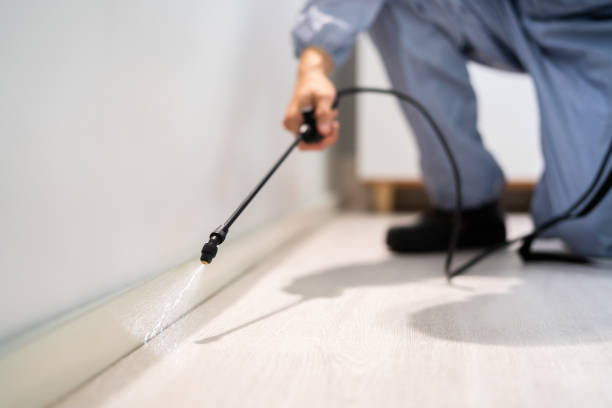 Licensed Termite Control service in Wacousta, MI - Nex Pest Control