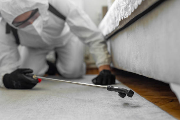 Professional Termite Control technician working in Wacousta, MI