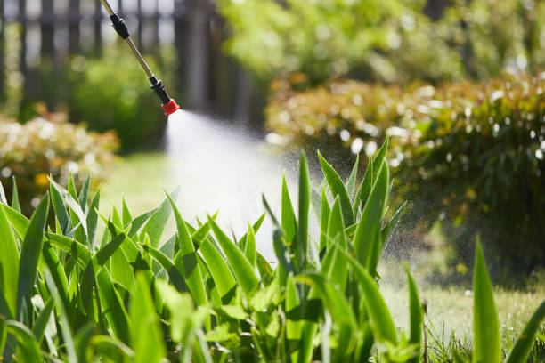 24/7 Emergency Termite Control experts in Wacousta, MI