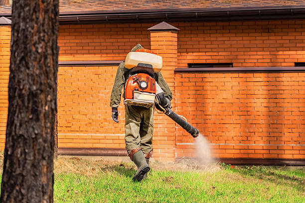 Trusted Emergency Pest Control service in Wacousta, MI - Nex Pest Control